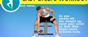 Arms Exercises at Home for Biceps