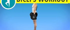 Arms workout at home: biceps exercises with dumbbells or barbell for men and women