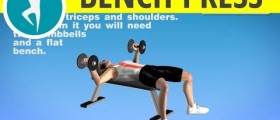 Bench Press for Chest or Dumbbell Flyes