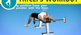 Triceps Pushdown with Barbell on a Bench: Arms Workout for Men
