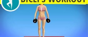 Exercise for biceps with weights (dumbbells) - Zottman curl