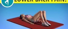 Lower Back Pain Exercise Lower Back Pain Stretches