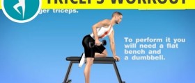 Triceps Workout with Dumbbell: Triceps KickBack on a Bench