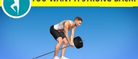 Back bodybuilding for men: middle back, biceps and lats exercises at home with weights