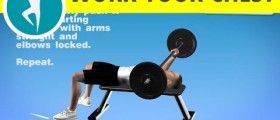 Fitness Workout for Men - Chest Press on Bench