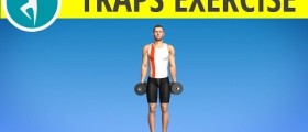 Traps Exercise with Dumbbells or Barbell