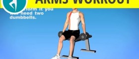Arms Exercise with Weights for Men