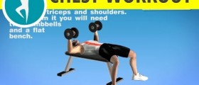 Bodybuilding Workout for Men with Dumbbells on a Bench