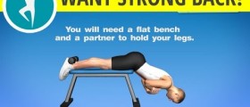 Lower Back Exercises at Home: Lower Back Strengthening Workout