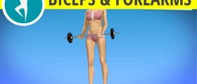 Biceps and forearms weights (barbell) workout for women and men