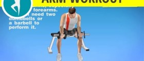 Home forearm workout with weights (dumbbells or barbell) for men and women: palms up wrist curl