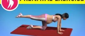 Pregnancy Exercise and Lower Body : Pregnancy Video Exercise