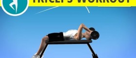 Lying Triceps Pressdown Workout on Bench