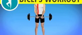Outer biceps and forearms workout: build arm muscles at home with weights